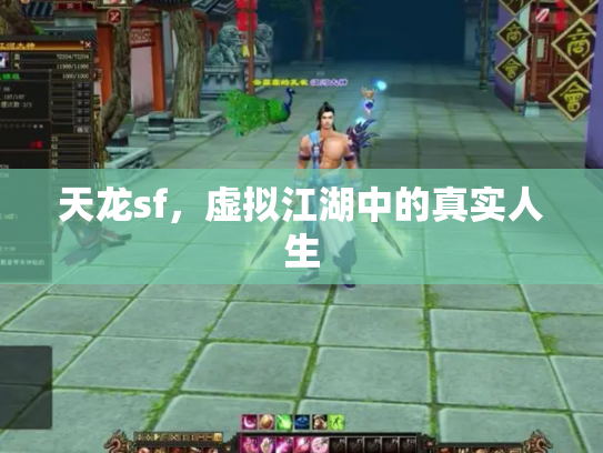 天龙sf，虚拟江湖中的真实人生