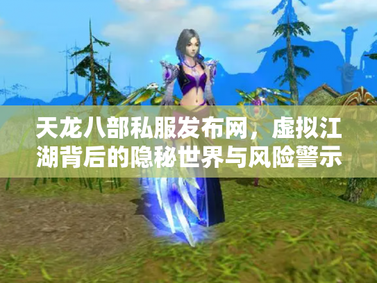 天龙八部私服发布网，虚拟江湖背后的隐秘世界与风险警示