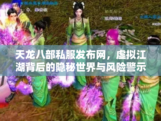 天龙八部私服发布网，虚拟江湖背后的隐秘世界与风险警示