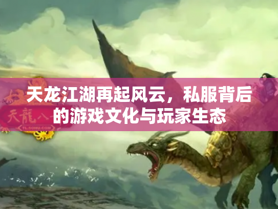 天龙江湖再起风云，私服背后的游戏文化与玩家生态