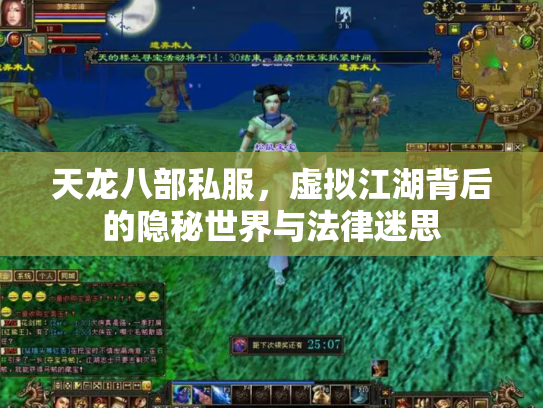 天龙八部私服，虚拟江湖背后的隐秘世界与法律迷思