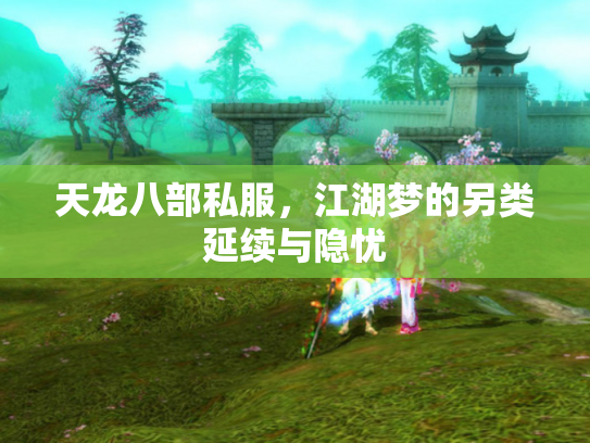 天龙八部私服，江湖梦的另类延续与隐忧