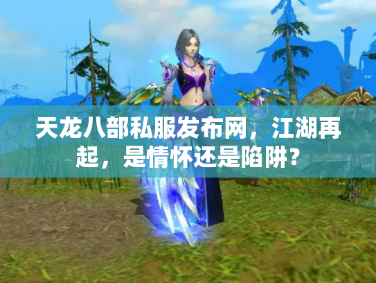 天龙八部私服发布网，江湖再起，是情怀还是陷阱？