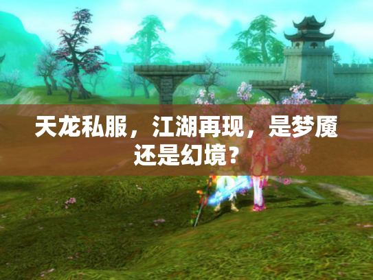 天龙私服，江湖再现，是梦魇还是幻境？