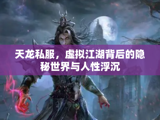 天龙私服，虚拟江湖背后的隐秘世界与人性浮沉