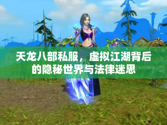 天龙八部私服，虚拟江湖背后的隐秘世界与法律迷思
