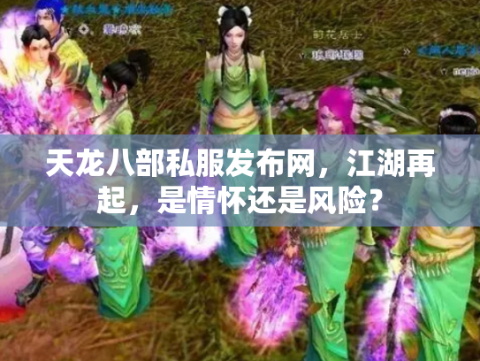 天龙八部私服发布网，江湖再起，是情怀还是风险？