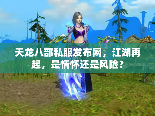 天龙八部私服发布网，江湖再起，是情怀还是风险？