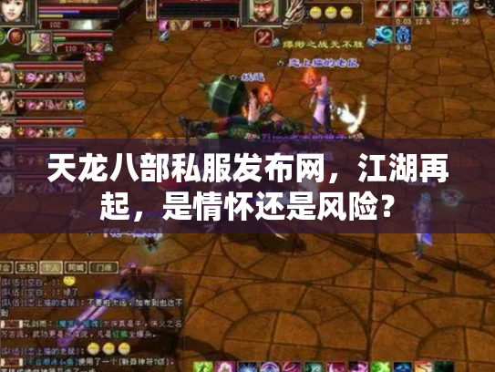 天龙八部私服发布网，江湖再起，是情怀还是风险？