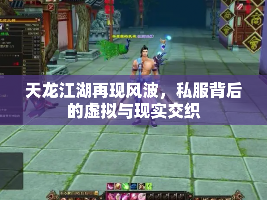 天龙江湖再现风波，私服背后的虚拟与现实交织