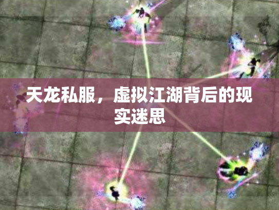 天龙私服，虚拟江湖背后的现实迷思