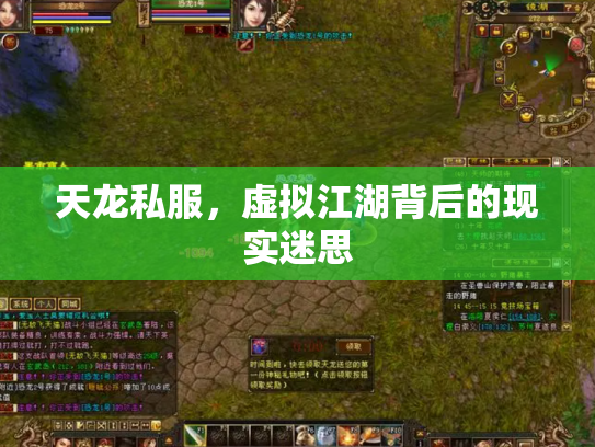 天龙私服，虚拟江湖背后的现实迷思