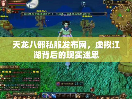 天龙八部私服发布网，虚拟江湖背后的现实迷思