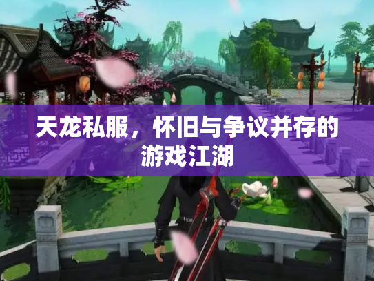 天龙私服，怀旧与争议并存的游戏江湖