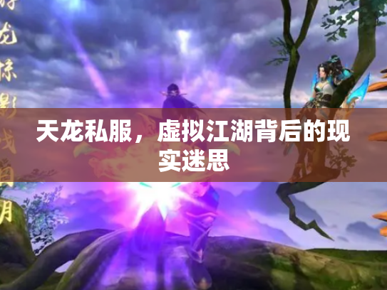 天龙私服，虚拟江湖背后的现实迷思