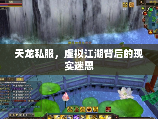 天龙私服，虚拟江湖背后的现实迷思