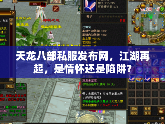 天龙八部私服发布网，江湖再起，是情怀还是陷阱？