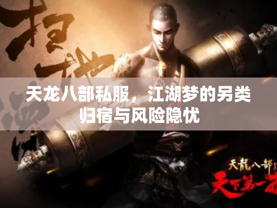 天龙八部私服，江湖梦的另类归宿与风险隐忧