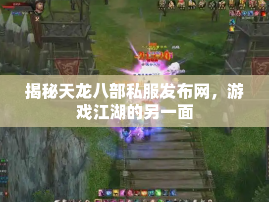 揭秘天龙八部私服发布网，游戏江湖的另一面