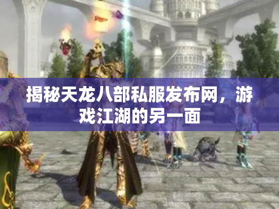 揭秘天龙八部私服发布网，游戏江湖的另一面