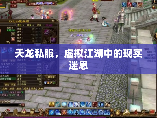 天龙私服，虚拟江湖中的现实迷思