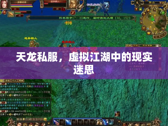 天龙私服，虚拟江湖中的现实迷思