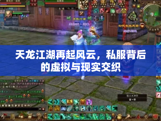 天龙江湖再起风云，私服背后的虚拟与现实交织