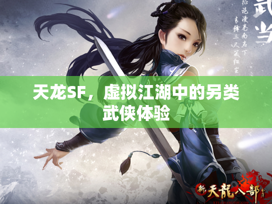 天龙SF，虚拟江湖中的另类武侠体验