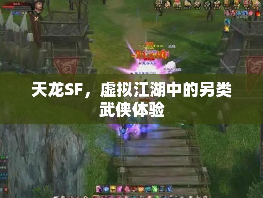 天龙SF，虚拟江湖中的另类武侠体验
