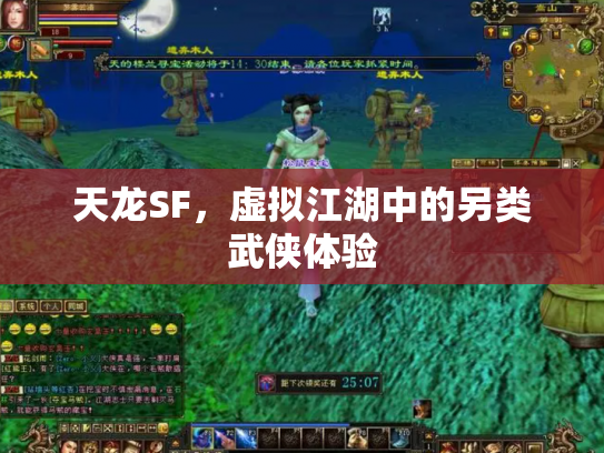 天龙SF，虚拟江湖中的另类武侠体验