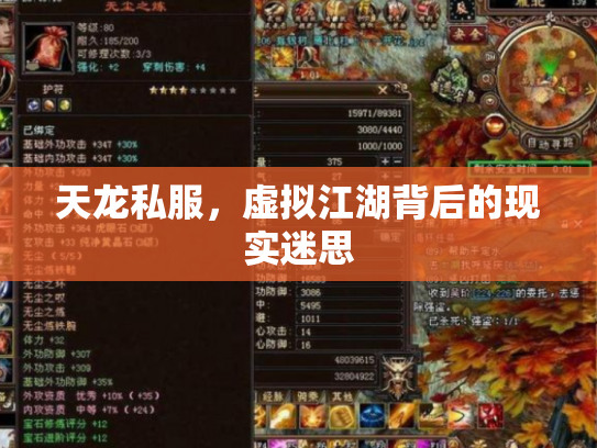 天龙私服，虚拟江湖背后的现实迷思