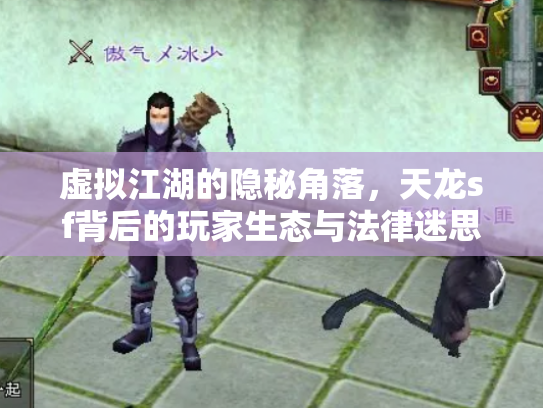 虚拟江湖的隐秘角落，天龙sf背后的玩家生态与法律迷思