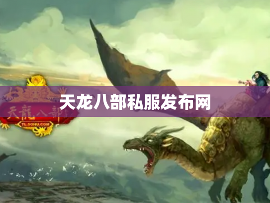 天龙八部私服发布网