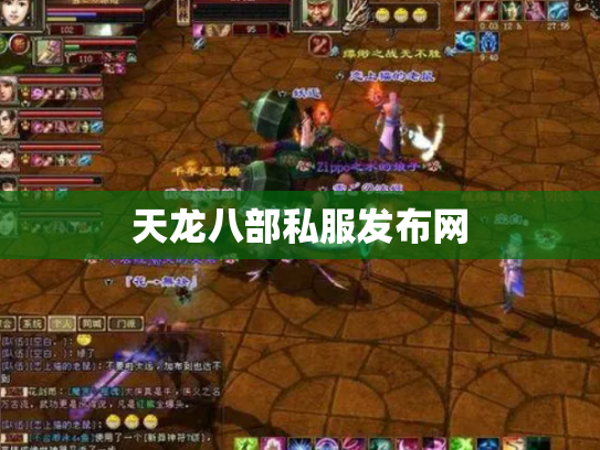 天龙八部私服发布网