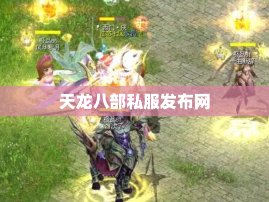 天龙八部私服发布网