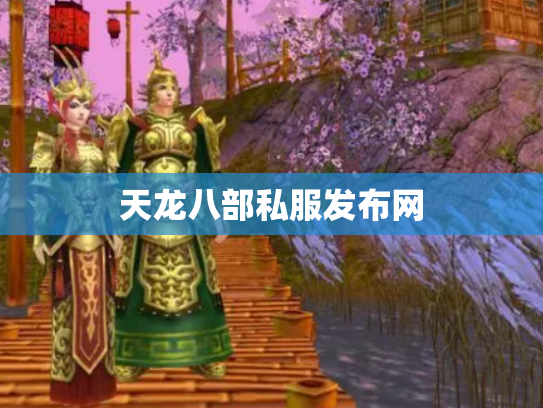 天龙八部私服发布网
