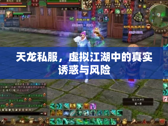 天龙私服，虚拟江湖中的真实诱惑与风险