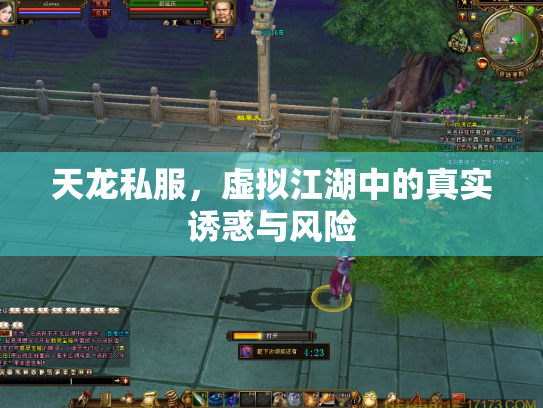 天龙私服，虚拟江湖中的真实诱惑与风险
