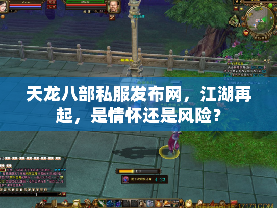 天龙八部私服发布网，江湖再起，是情怀还是风险？