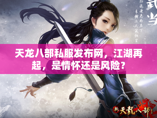 天龙八部私服发布网，江湖再起，是情怀还是风险？