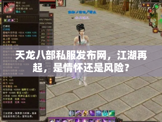 天龙八部私服发布网，江湖再起，是情怀还是风险？