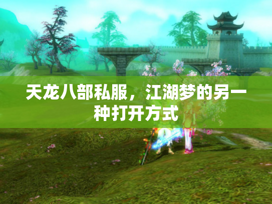 天龙八部私服，江湖梦的另一种打开方式