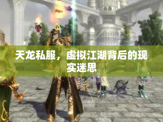 天龙私服，虚拟江湖背后的现实迷思