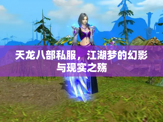 天龙八部私服，江湖梦的幻影与现实之殇