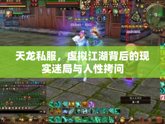 天龙私服，虚拟江湖背后的现实迷局与人性拷问