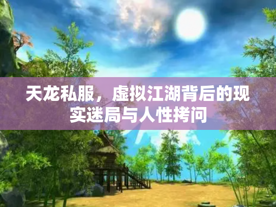 天龙私服，虚拟江湖背后的现实迷局与人性拷问