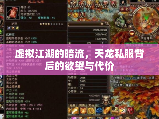 虚拟江湖的暗流，天龙私服背后的欲望与代价