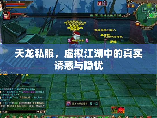 天龙私服，虚拟江湖中的真实诱惑与隐忧