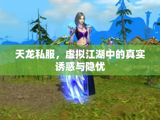 天龙私服，虚拟江湖中的真实诱惑与隐忧