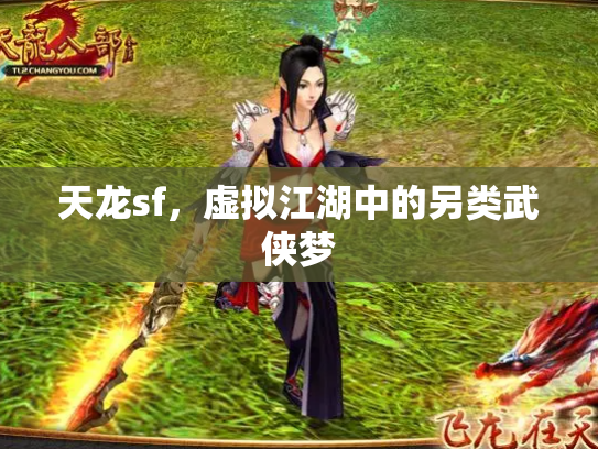 天龙sf，虚拟江湖中的另类武侠梦